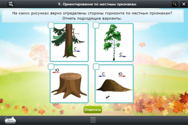 Интерактивные курсы. Окружающий мир 1 класс. Базовый - «globural.ru» - Ижевск