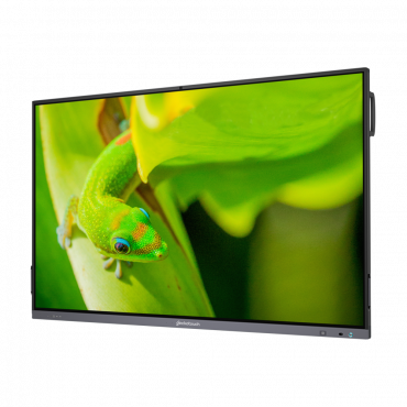 Интерактивный программно-аппаратный комплекс Geckotouch Interactive IP86GT-С  в комплекте с настенным креплением - «globural.ru» - Ижевск