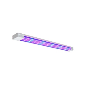 Фитолампа - «globural.ru» - Ижевск