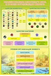 Стенд "Классификация животного мира" - «globural.ru» - Ижевск